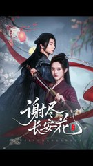 谢尽长安花 第41-82集完整剧情 | 魏天浩 & 高维蔓主演 🌸