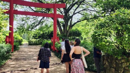 Conoce el Jardín Botánico Dr. José María Moscoso
