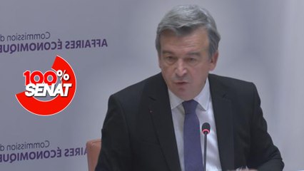 100% Sénat - Crise du logement : où en est le secteur du bâtiment ?