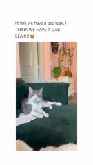 It’s happening! Something’s happening
