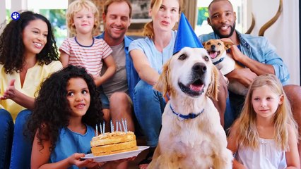 Your Dog Doesn’t Think You’re Human – The Truth Is Shocking!