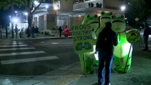 Police face off with protesters in inflatable animal costumes outside Portland ICE facility