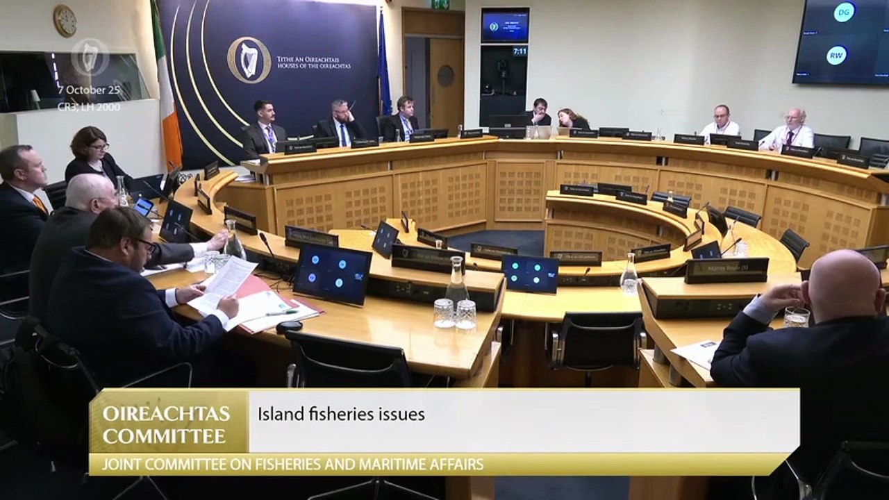 Salmon stocks have not improved since drift-netting was banned in Donegal, committee told