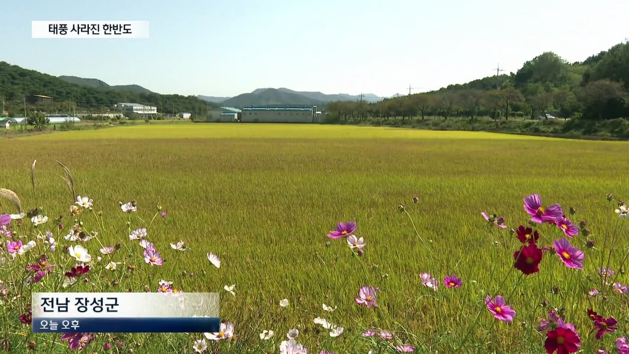16년 만에 처음…올해 태풍 없는 이유는?