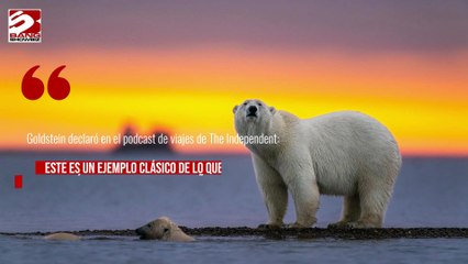 Legislación noruega con osos polares, criticadas como "fascismo conservacionista"