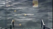 Berwawasan luas.