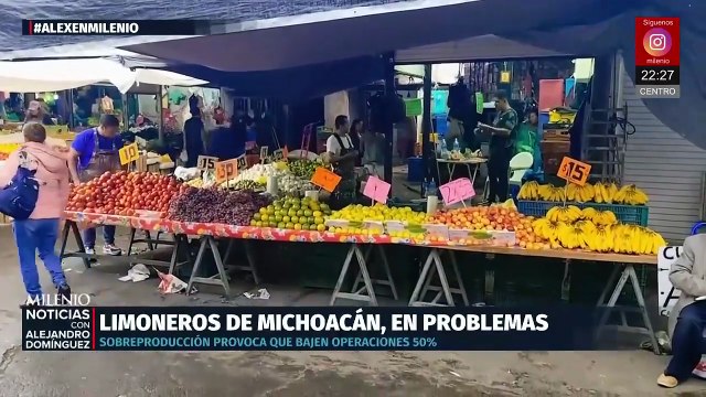 Limoneros de Michoacán enfrentan crisis por sobreproducción