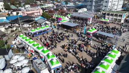 충남 홍성 바비큐·국화 축제, 오는 30일 개막 / YTN