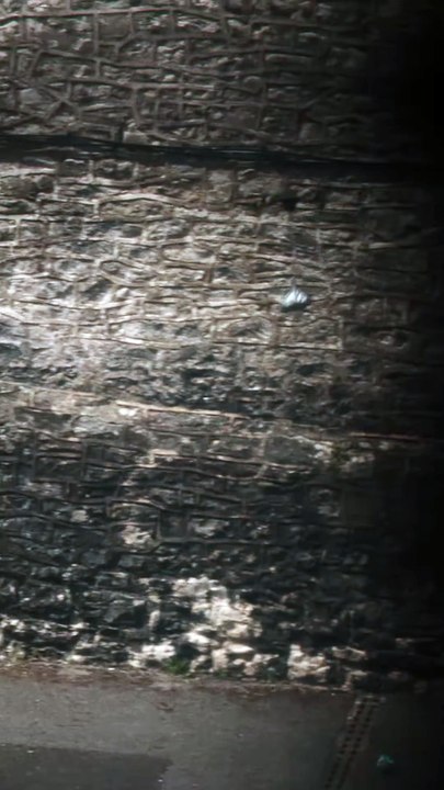 Wasteman Teaser Trailer