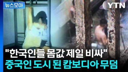 [뉴스모아] 수갑 묶여 결박 "장기 적출도"…중국인들이 만든 범죄도시 실사판 / YTN