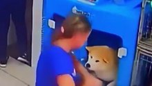 This dog's mistake turned into something beautiful 🥺❤️‍ #shorts