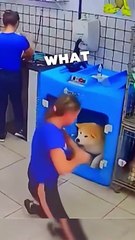 This dog's mistake turned into something beautiful 🥺❤️‍ #shorts
