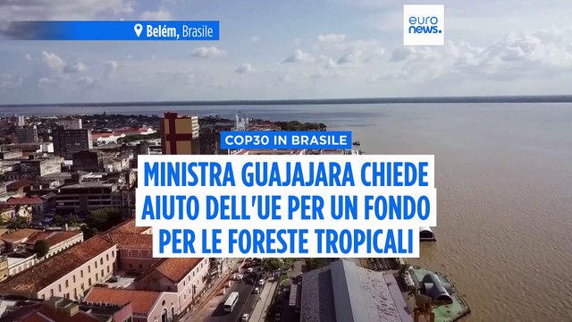 Clima: alla vigilia della Cop30 ministra brasiliana chiede sostegno Ue a nuovo fondo per le foreste