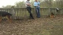 РазГАВор по душам