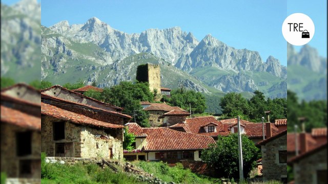 La centella asiática también conocida como CICA o hierba de los tigres, se extrae de una planta llamada Gotu Kola que procede de Asia con mucha presencia en países como India, China, Sri Lanka, Indonesia y Madagascar. Sus múltiples propiedades han llevado