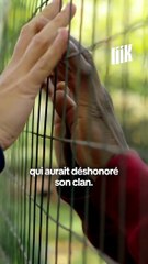 Tu as déjà entendu parler de Daïa ?