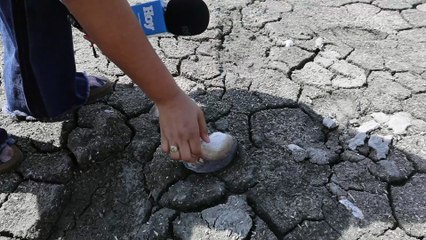 La Laguna de Cabral agoniza: imágenes muestran su alarmante realidad 1/4