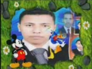 الضوء الشارد