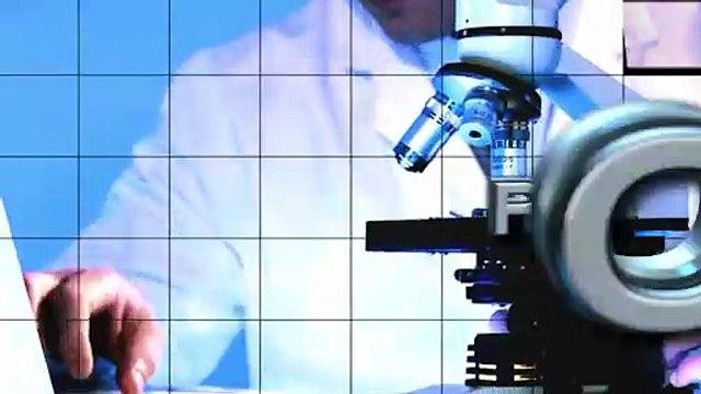 Sostenibilità: Scavolini (Scavolini), ‘usiamo solo energia da fonti rinnovabili da diversi anni’