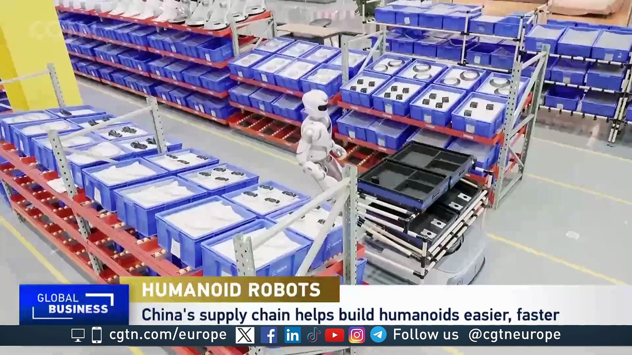 Humanoid Robots: "The sector is really early stage"
