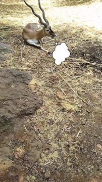 Do you also like taking selfies? 😂