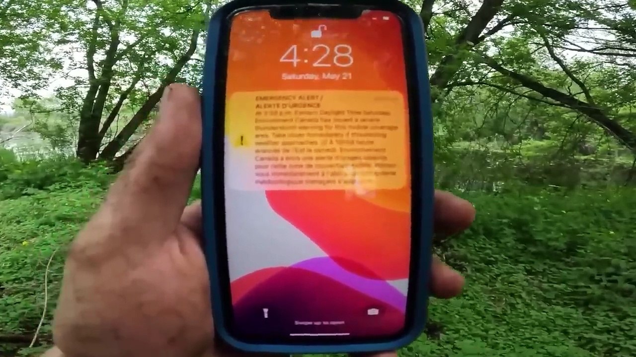 5 Most Disturbing Forest Encounters Caught on Camera – Dark Files | Midnight Tales