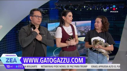 ¡Adopta, no compres! Carlitos y Sally están en busca de un hogar lleno de amor