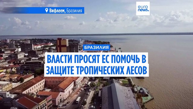 Бразилия призвала ЕС помочь с защитой тропического леса