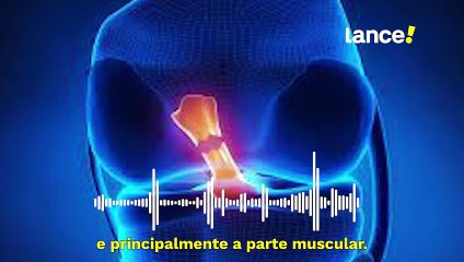 Entenda o que é a ruptura de Ligamento Cruzado Anterior (LCA)