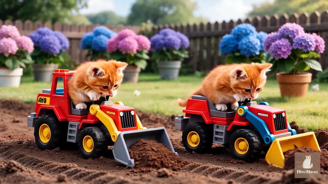 Mama Cat Trims Fur on the Farm and Makes Tiger Hat For Kittens At Home🐾🎩🐯_6