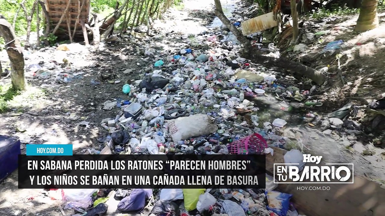 En Sabana Perdida los ratones “parecen hombres”...