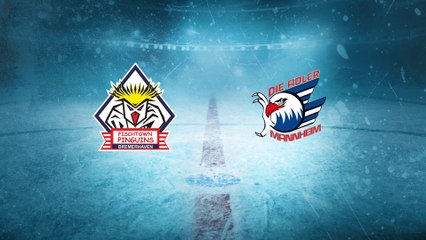 Highlights von Fischtown Pinguins - Adler Mannheim