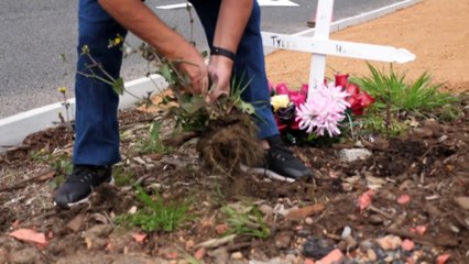 Grieving Bunbury family outraged over plan to remove roadside memorial
