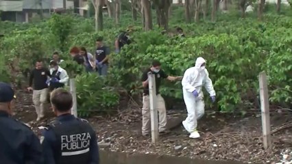 tn7-familia-de-nadia-peraza-pide-indemnización-de-₡269-millones-por-daño-moral-y-material-101025