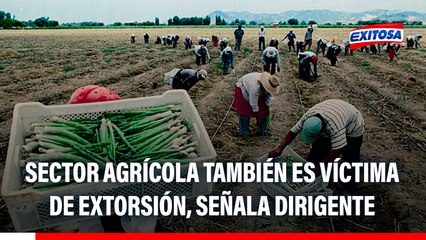 Gremios agrarios también son víctimas de extorsión: "Entran a robar, atacan a trabajadores"