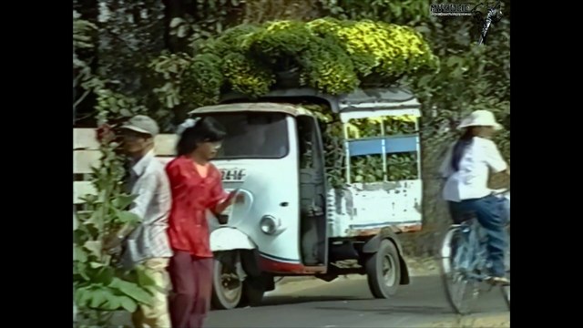 Đình Văn, Tài Linh - Đêm cắm câu [OFFICIAL MV] [4K HD REMASTERED]