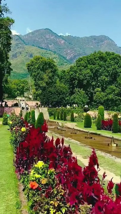 Heaven isn’t a place… it’s the valley of Gurez 💫✨ Blooming flowers, misty mountains, and rivers that sing 🌸🏞️