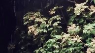 新剧上线#石佳＆朱家妮 - 迟到的月光 (上)