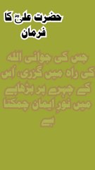 Jawani Allah Ki Raah Mein Guzarne Wale Ka Noor 🌙 | Hazrat Ali (RA) Ka Farman