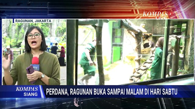 Perdana! Taman Margasatwa Ragunan Buka Sampai Malam | KOMPAS SIANG