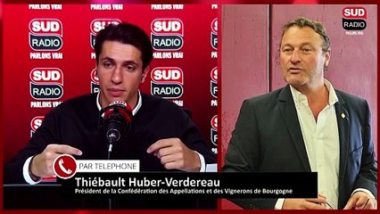 Quand les grands vins français craignent le rachat chinois - Sud Radio près de chez vous