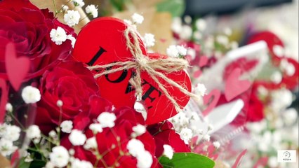 “Common Misconceptions About Nursing Homes You Should Forget — Finding Comfort, Care, and Connection”