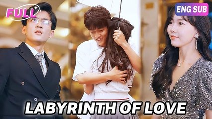 The CEOs Revenge  FULL HD MOVIE [Eng Sub]