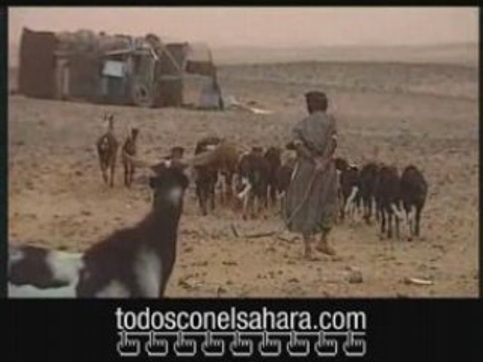 Todos con el sahara