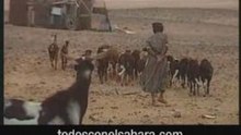 Todos con el sahara