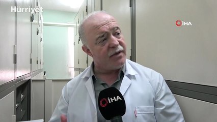 Zeytin ağacından gelen delil: Nuh'un Gemisi Cudi Dağı'nda