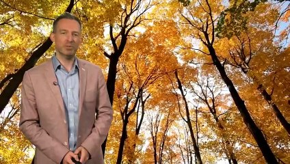 Met Office Saturday Afternoon Weather Forecast 11/10/2025