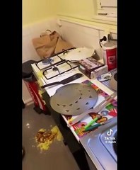 We are all culinary enthusiasts! 😅