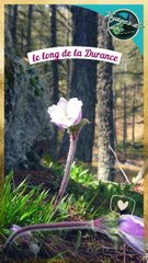 Joli petit cours d'eau peu connu mais plein de promesses.