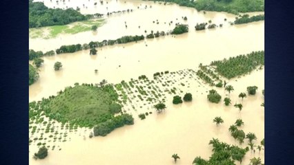 멕시코 곳곳 집중호우..."이번 주 30여 명 사망·실종" / YTN